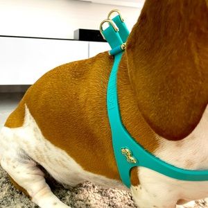 BONEFLY Aqua Hardness with Swarovski pieces included.